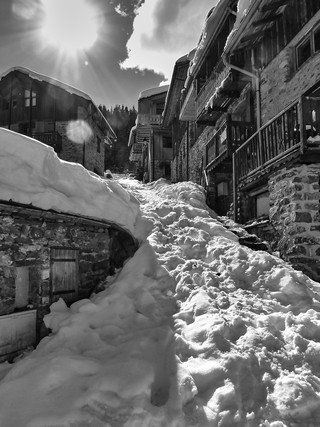 La tania    |   5  /  5    | 